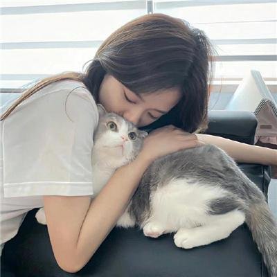 神台猫